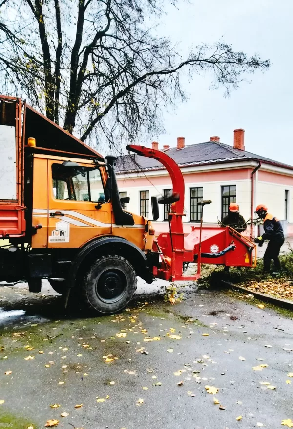 Zaru šķeldošana